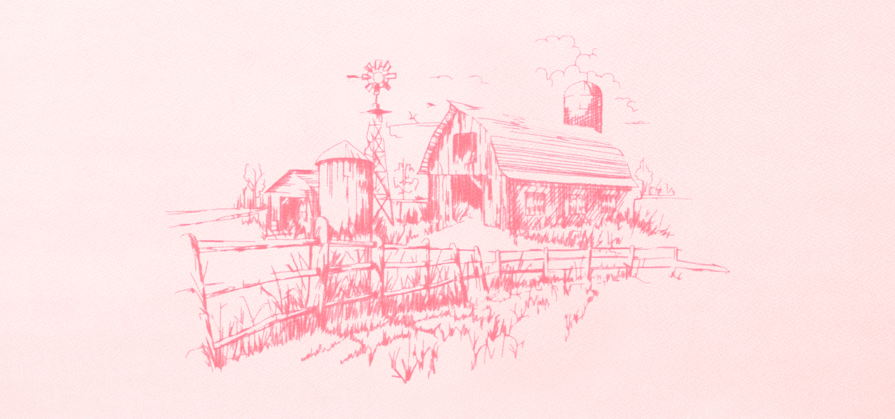 Barn Pink Faux